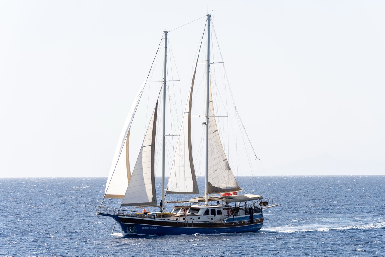 GOZDEM THE ONE – Custom built 183