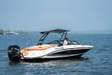 Sea Ray SPX 210
