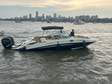 Sea Ray SDX 290