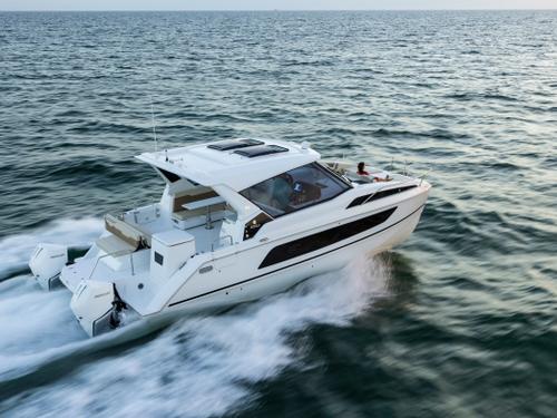 Joy