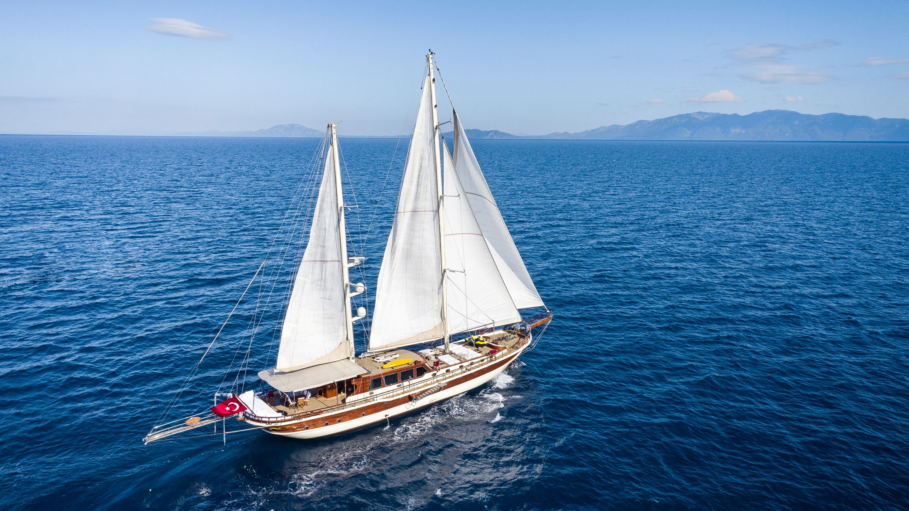 Estrella de Mar