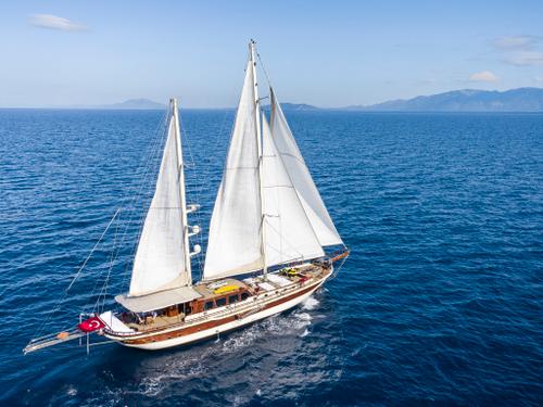 Estrella de Mar