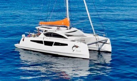 C-CAT 37